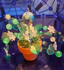 Green and white beaded flower plant