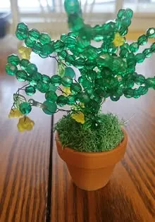 Green beaded plant in a small pot